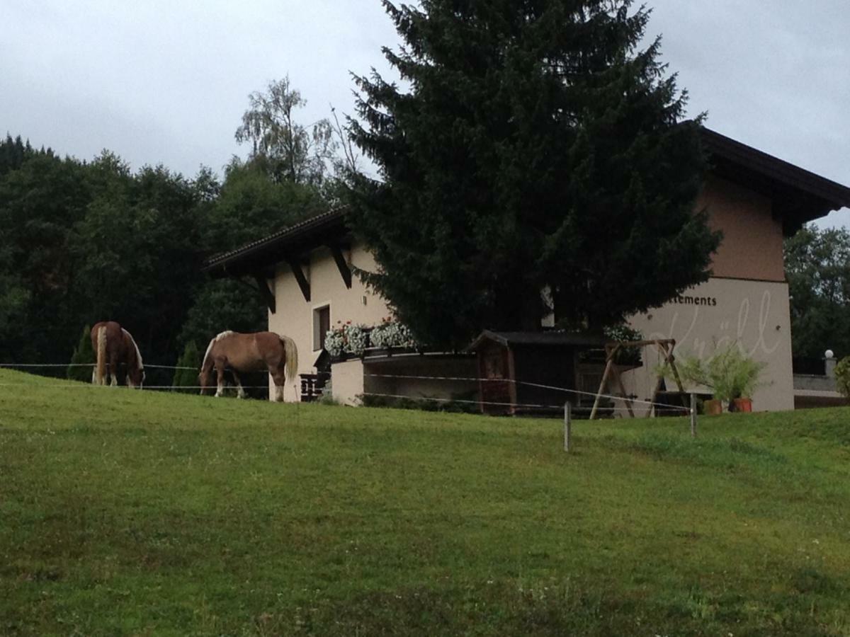 Appartements Kroell, Joker Card In Summer Included! Saalbach-Hinterglemm Buitenkant foto